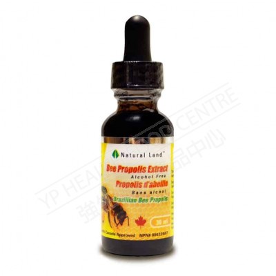 Bee Propolis Tincture Alcohol Free 500mg