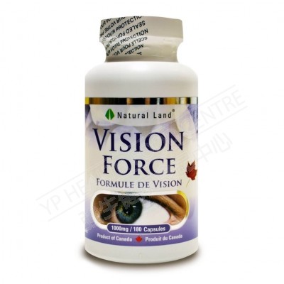 Force Vision 