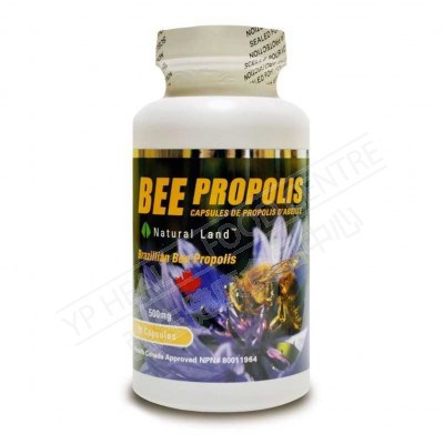 巴西蜂胶 Bee Propolis